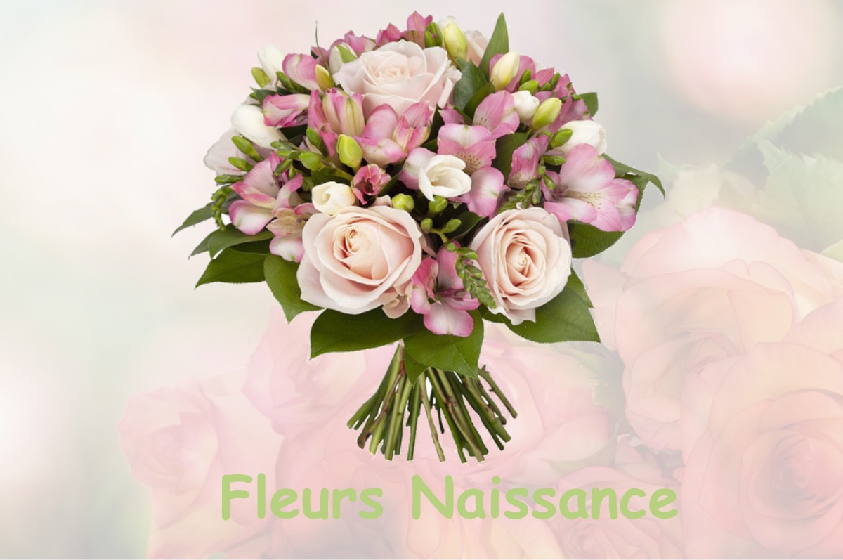 fleurs naissance BONNEGARDE