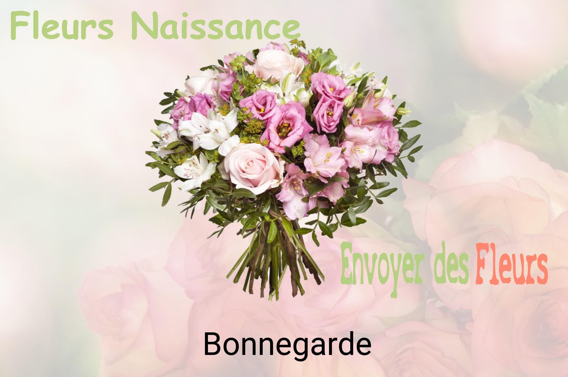 Bouquet de fleurs de naissance livré à Bonnegarde