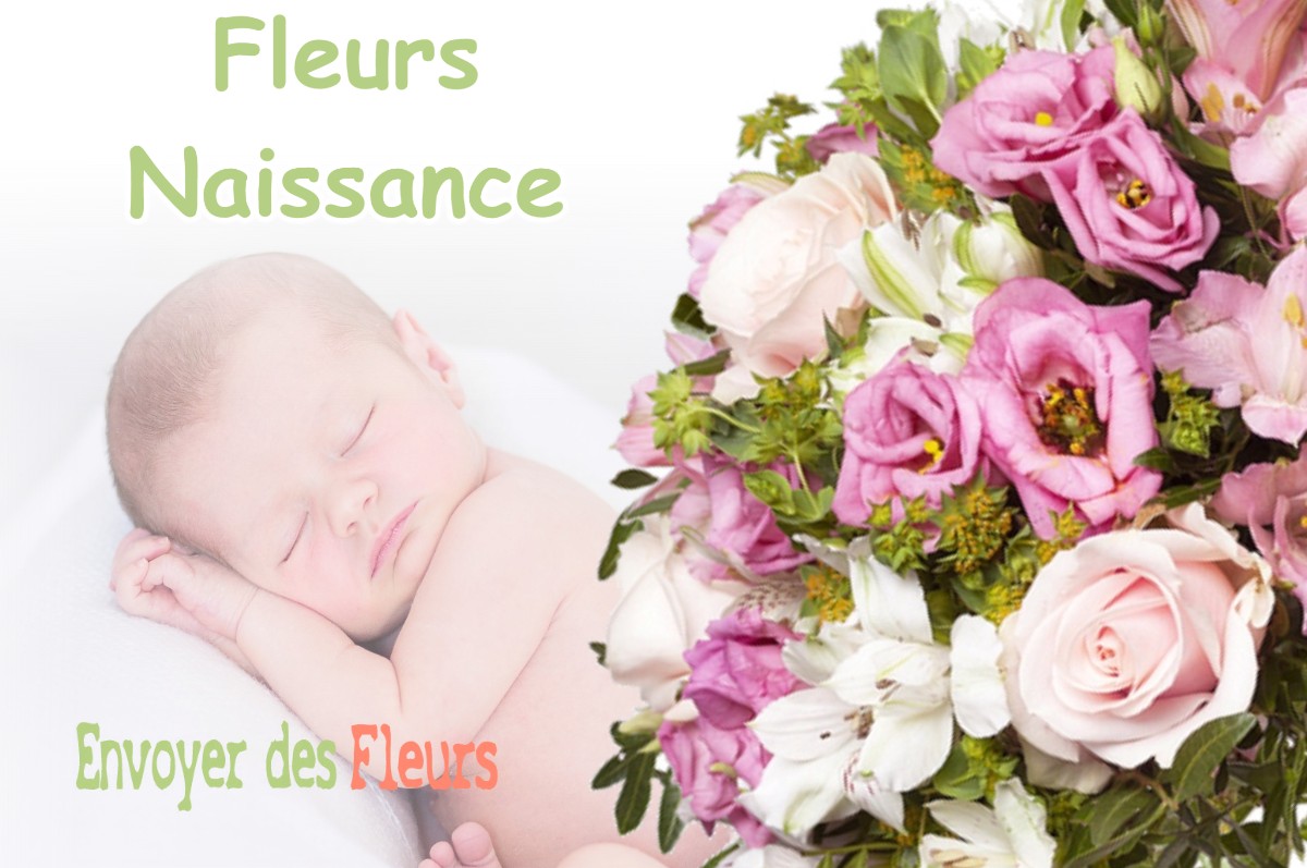 lIVRAISON FLEURS NAISSANCE à BONNEGARDE